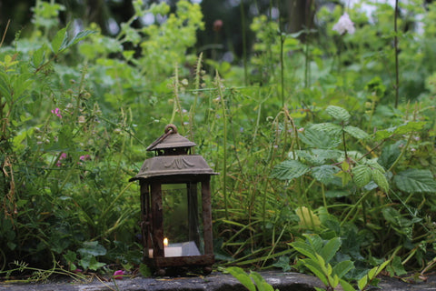 Duftende Teelichter aus natürlichem Sojawachs „AMBER &amp; OAK“