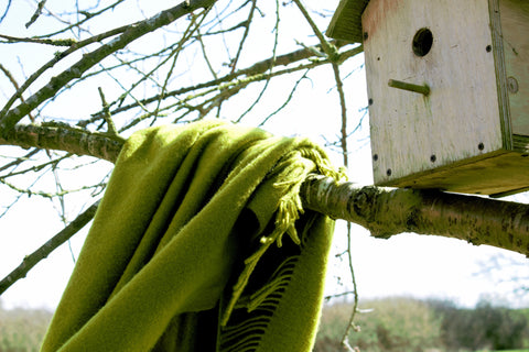 Merino Wool Blankets from "Green Green Grass" Collection