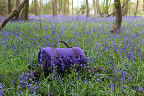 Merino Wool Blanket "Bluebell Woods" from "Colours of Nature"Collection