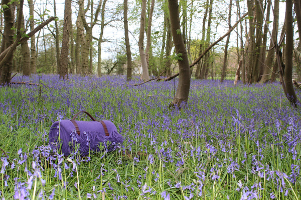 Merino Wool Blanket "Bluebell Woods" from "Colours of Nature"Collection