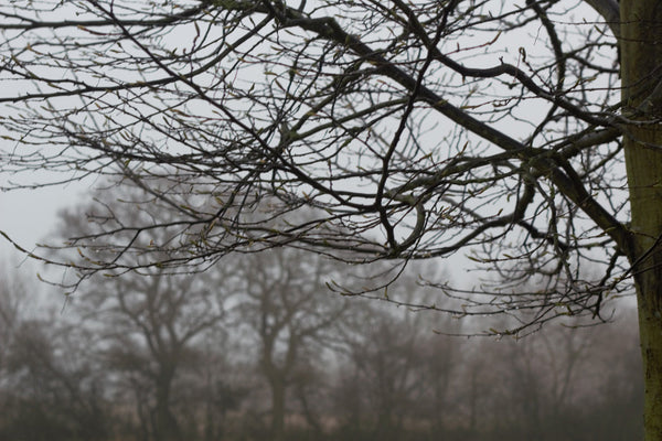 HEAVY WEIGHT PURE LINEN CURTAINS from 'SUB- DUE THE LIGHT' COLLECTION